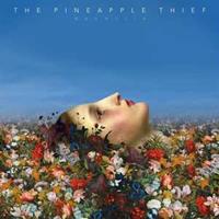 Kscope Magnolia - Pineapple Thief