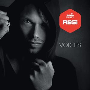 CNR Records Compilations Regi - Voices