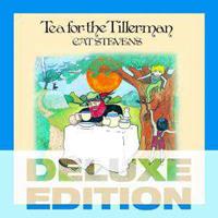 Island Tea For The Tillerman - Cat Stevens