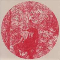 Domino Heartland - Owen Pallett
