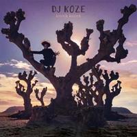 Pampa Knock Knock - Dj Koze
