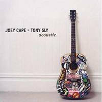 Fat Wreck Chords Acoustic - Joey Cape /tony Sly
