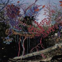 My Animal Home Here Comes The Indian - Animal Collective