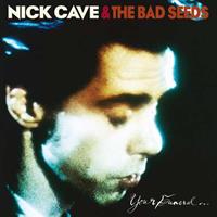 Mute Your Funeral Dvd . My Trial - Nick Cave & The Bad Seeds