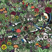 Thrill Jockey Whatever Forever - Oozing Wound