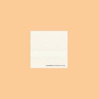 Faitiche Loop-Finding-Jazz-Records - Jan Jelinek