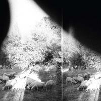 Constellation Asunder, Sweet & Other Distress - Godspeed You! Black Emperor