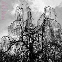Constellation Never Were The Way She Was - Colin Stetson