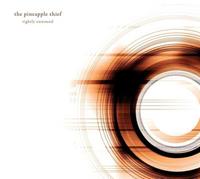 The Pineapple Thief Tightly Unwound