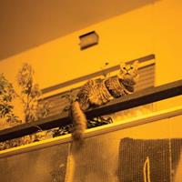 Thrill Jockey Republic - Sam Prekop