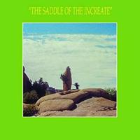 Saddle Of The Increate - Sun Araw
