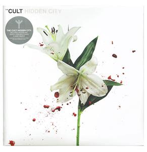 Hidden City