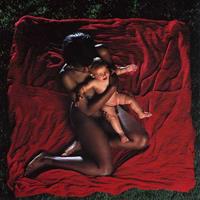 Subpop Congregation - The Afghan Whigs
