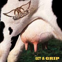 Geffen Get A Grip - Aerosmith