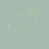Secretly Canadian Hecla & Griper - Songs: Ohia