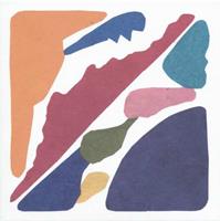 Erased Tapes All Together Again - Peter Broderick