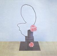 4ad Oh Inhuman Spectacle - Methyl Ethel