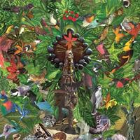 Thrill Jockey Drifter's Temple - Plankton Wat