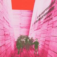 Touch & Go In An Expression Of The Inexpressible - Blonde Redhead