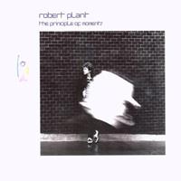 Rhino The Principle Of Mo..(Exp&Rem) - Robert Plant