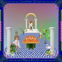 Bella Union Rare Birds - Jonathan Wilson