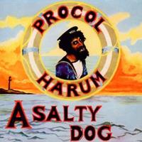 Ultra-Vybe A Salty Dog - Procol Harum