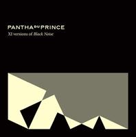 Rough Trade Xi Versions Of Black Noise - Pantha Du Prince