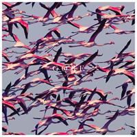 Wea Gore - Deftones
