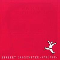 Groenland Spruenge - Herbert Gronemeyer