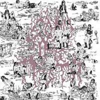 Thrill Jockey Why Do The Heathen Rage℃ - The Soft Pink Truth