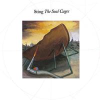 Universal Music Vertrieb - A Division of Universal Music Gmb The Soul Cages (LP)