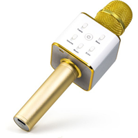 Technaxx BT-X31 Bluetooth luidspreker AUX, USB Goud, Wit