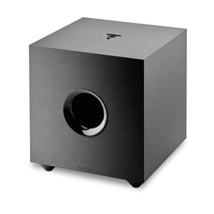 Focal Cub Evo