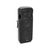 Omnitronic VFM-2215AP Two-Way Active Speaker