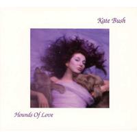 Warner Music Canada Hounds Of Love - Kate Bush