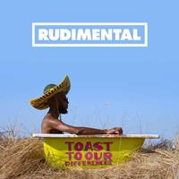 East West Records Uk Ltd Toast To Our Differences - Rudimental