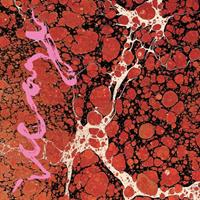 Matador Beyondless - Iceage
