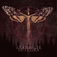 Phd Music Integra - Anomalie