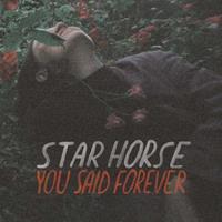 Startracks You Said Forever - Star Horse
