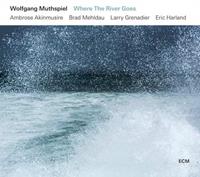 ECM Where The River Goes - Wolfgang Muthspiel