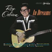 Monument In Dreams - Roy Orbison
