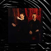 BMG Inside The Rose - These New Puritans