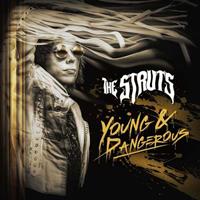 Universal Young & Dangerous - The Struts