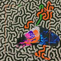 Domino Tangerine Reef - Animal Collective
