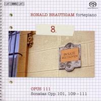 Bis Complete Works For Solo Piano Vol.8 - David Zinman
