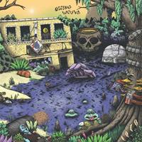 Thrill Jockey High Anxiety - Oozing Wound