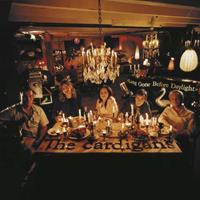 Universal Long Gone Before Daylight - Cardigans