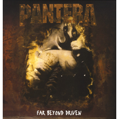 Rhino Far Beyond Driven (Vinyl) - Pantera