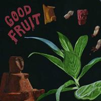 Carpark Good Fruit - Teen
