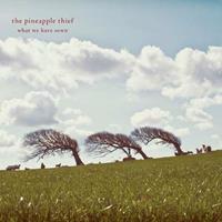 Kscope What We Have Sown - Pineapple Thief